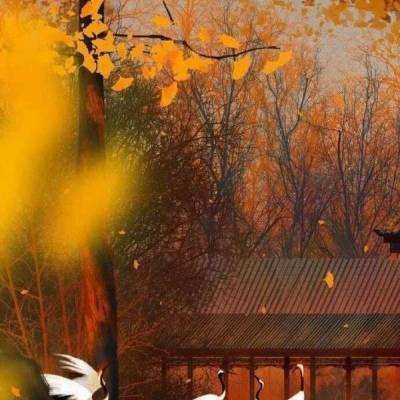 2024北京传统音乐节将于12月启幕